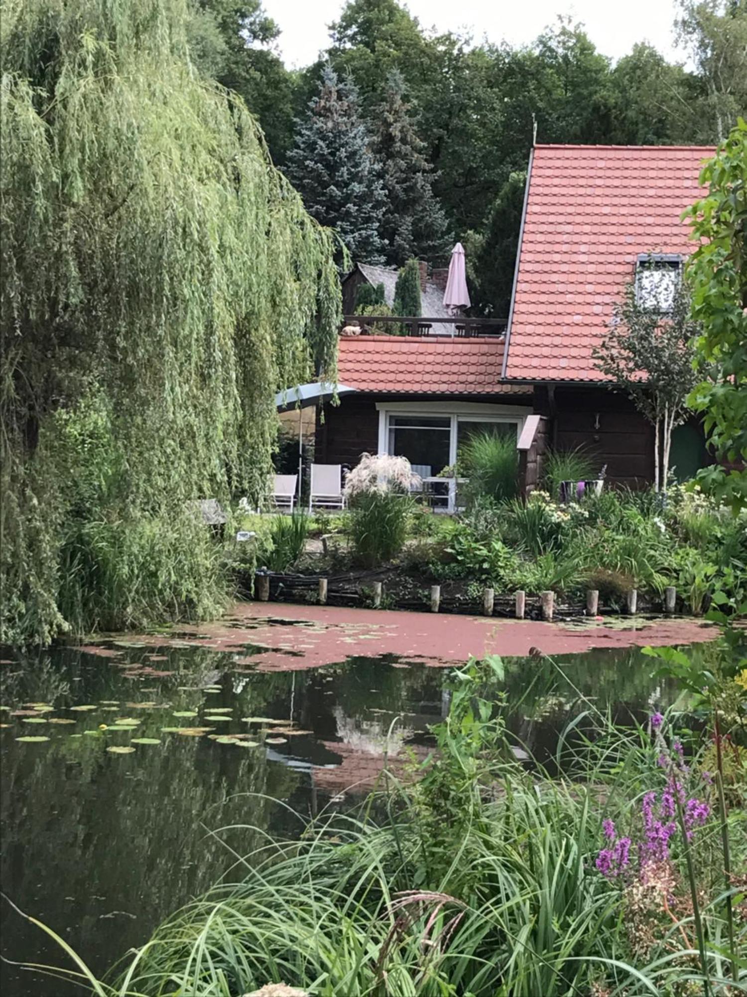 Ferienwohnungen Direkt Am Wasser Burg  Esterno foto