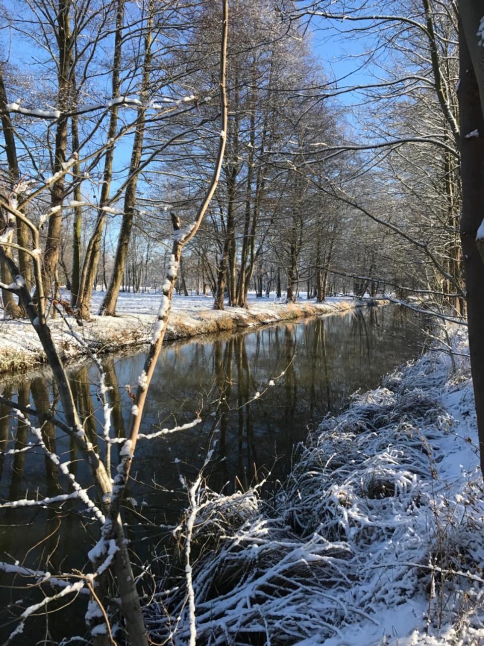 Ferienwohnungen Direkt Am Wasser Burg  Esterno foto