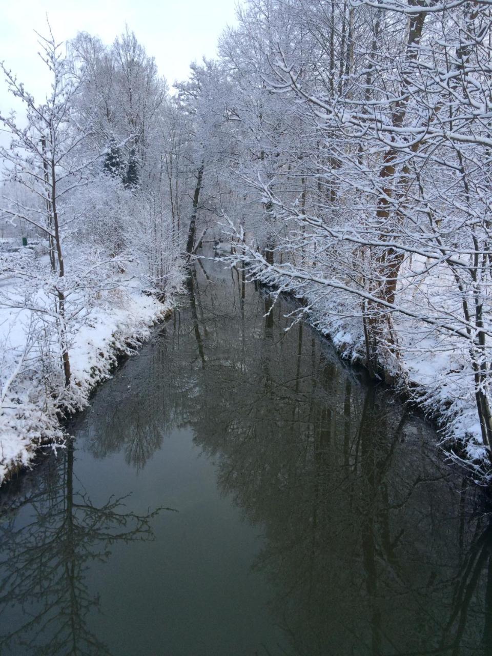 Ferienwohnungen Direkt Am Wasser Burg  Esterno foto