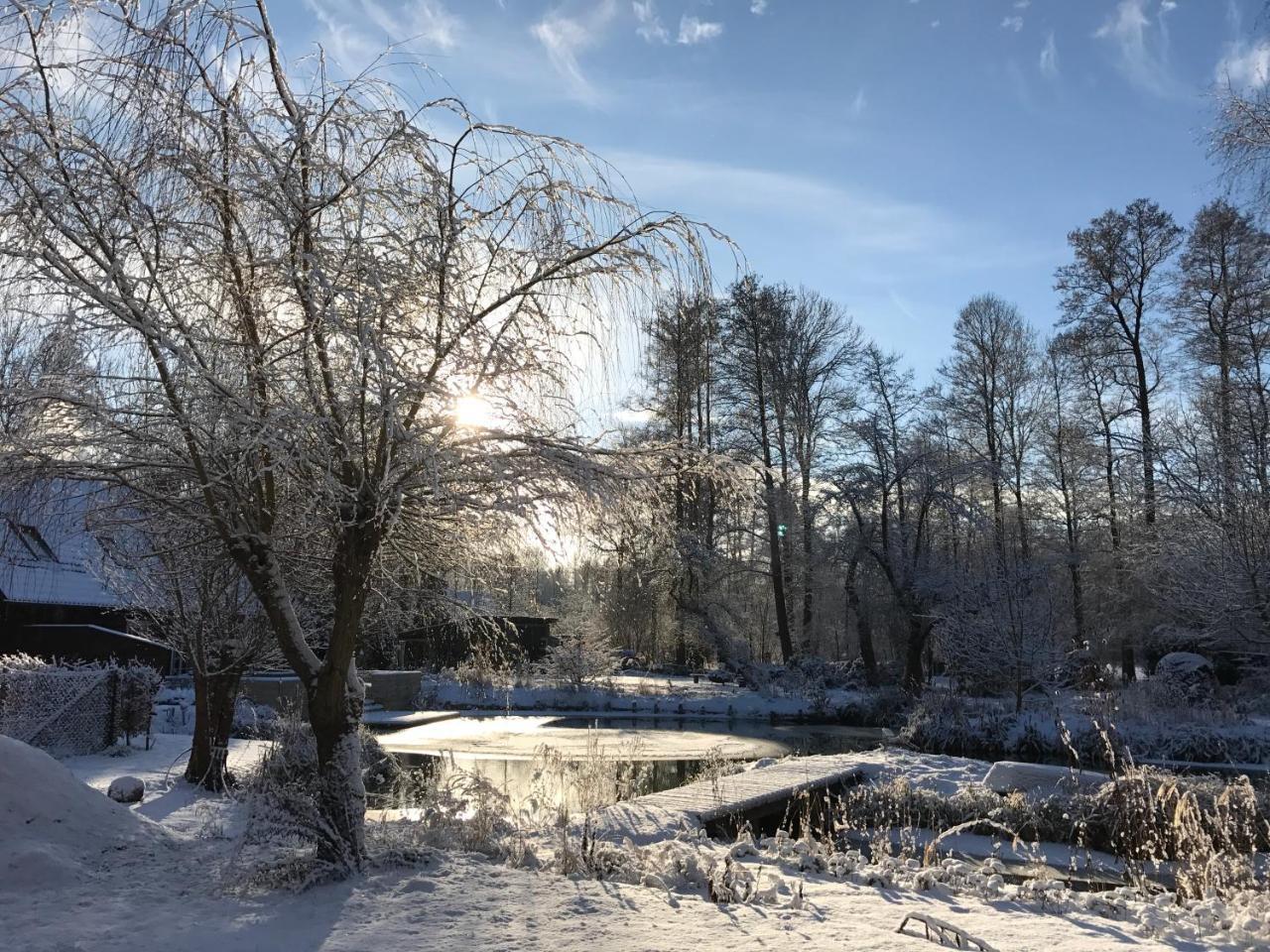 Ferienwohnungen Direkt Am Wasser Burg  Esterno foto
